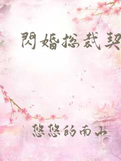 闪婚总裁契约婚