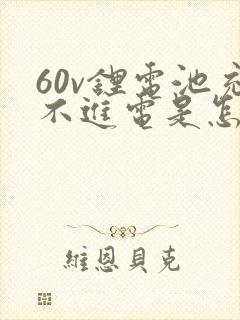 60v锂电池充不进电是怎么回事