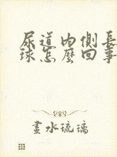 尿道内侧长小肉球怎么回事