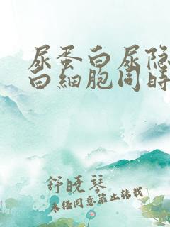 尿蛋白尿隐血尿白细胞同时阳性