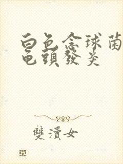 白色念球菌包皮龟头发炎