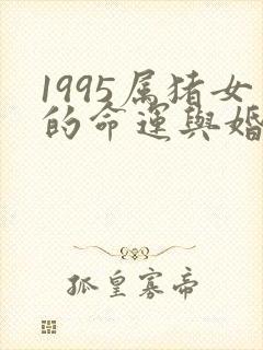 1995属猪女的命运与婚姻