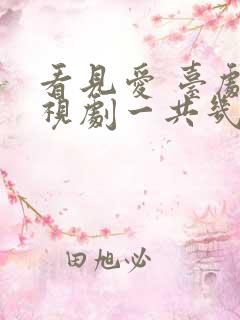 看见爱 台剧电视剧一共几集啊