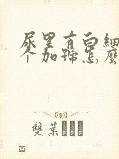 尿里有白细胞3个加号怎么回事