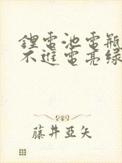 锂电池电瓶车充不进电亮绿灯