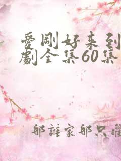 爱刚好来到电视剧全集60集在线观看