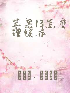 苹果13怎么清理缓存