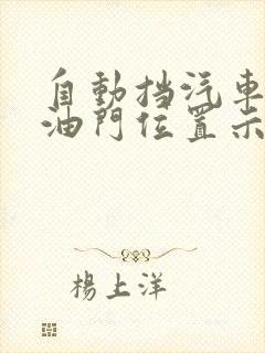 自动挡汽车刹车油门位置示意图