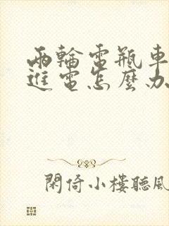 两轮电瓶车充不进电怎么办