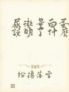 尿微量白蛋白高说明了什么?