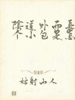 阴道外面长了一个小包是怎么回事