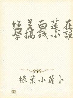 绝美白莲在线教学搞钱小说在线阅读免费