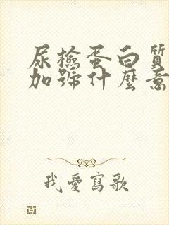 尿检蛋白质3个加号什么意思