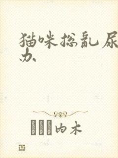 猫咪总乱尿怎么办