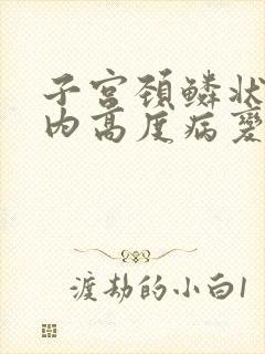 子宫颈鳞状上皮内高度病变