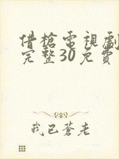 借枪电视剧全集完整30免费观看