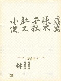 小肚子胀痛想大便又拉不出