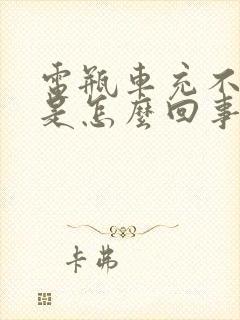 电瓶车充不进电是怎么回事