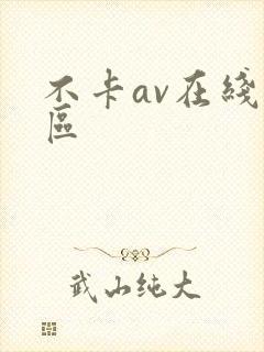 不卡av在线二区