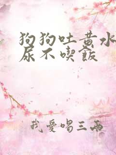 狗狗吐黄水尿黄尿不吃饭