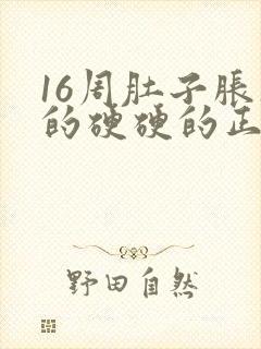 16周肚子胀胀的硬硬的正常吗