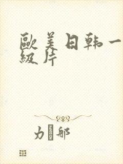 欧美日韩一级一级片