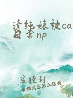 清纯婊被cao日常np