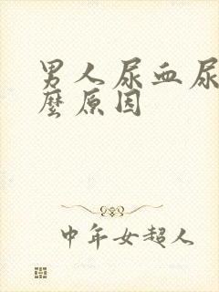 男人尿血尿是什么原因