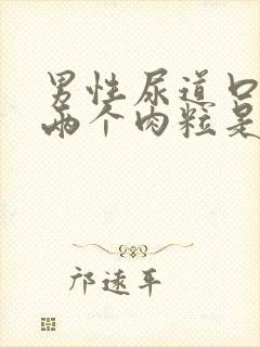 男性尿道口长了两个肉粒是怎么回事