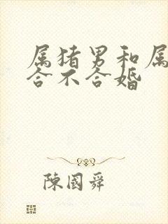 属猪男和属马女合不合婚