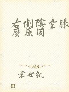 右侧阴囊胀痛什么原因