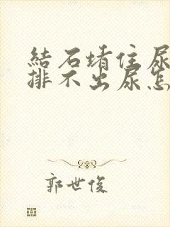 结石堵住尿道口排不出尿怎么办