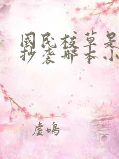 国民校草是女生抄袭哪本小说