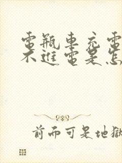 电瓶车充电器充不进电是怎么回事