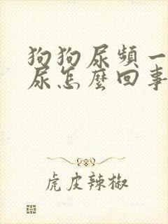 狗狗尿频一会一尿怎么回事