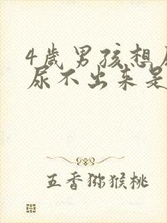 4岁男孩想尿又尿不出来是什么原因