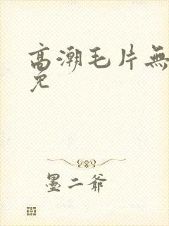 高潮毛片无遮挡免