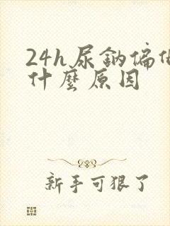 24h尿钠偏低什么原因