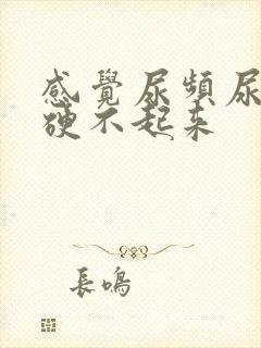 感觉尿频尿不尽硬不起来