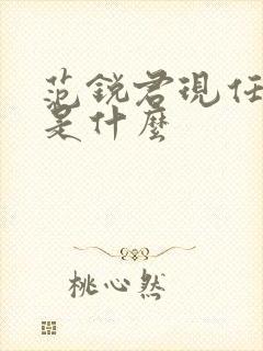 范锐君现任职务是什么