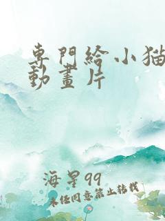 专门给小猫看的动画片