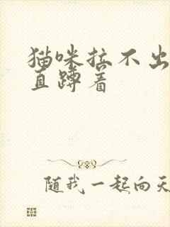 猫咪拉不出尿一直蹲着