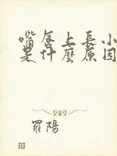 嘴唇上长小水泡是什么原因引起的