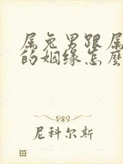 属兔男跟属蛇女的姻缘怎么样