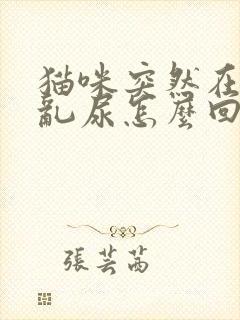 猫咪突然在床上乱尿怎么回事