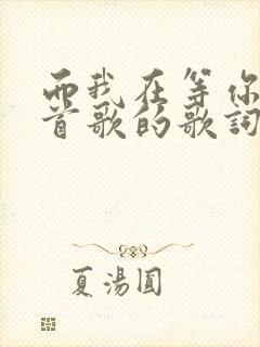 而我在等你是哪首歌的歌词