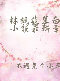 林枫苏慕白穿越小说最新章节