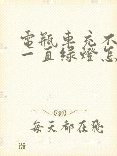 电瓶车充不进电一直绿灯怎么回事