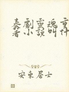 泰剧灵魂重生原著小说叫什么名字