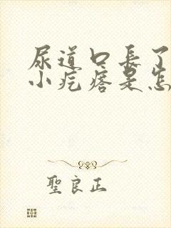 尿道口长了一圈小疙瘩是怎么回事